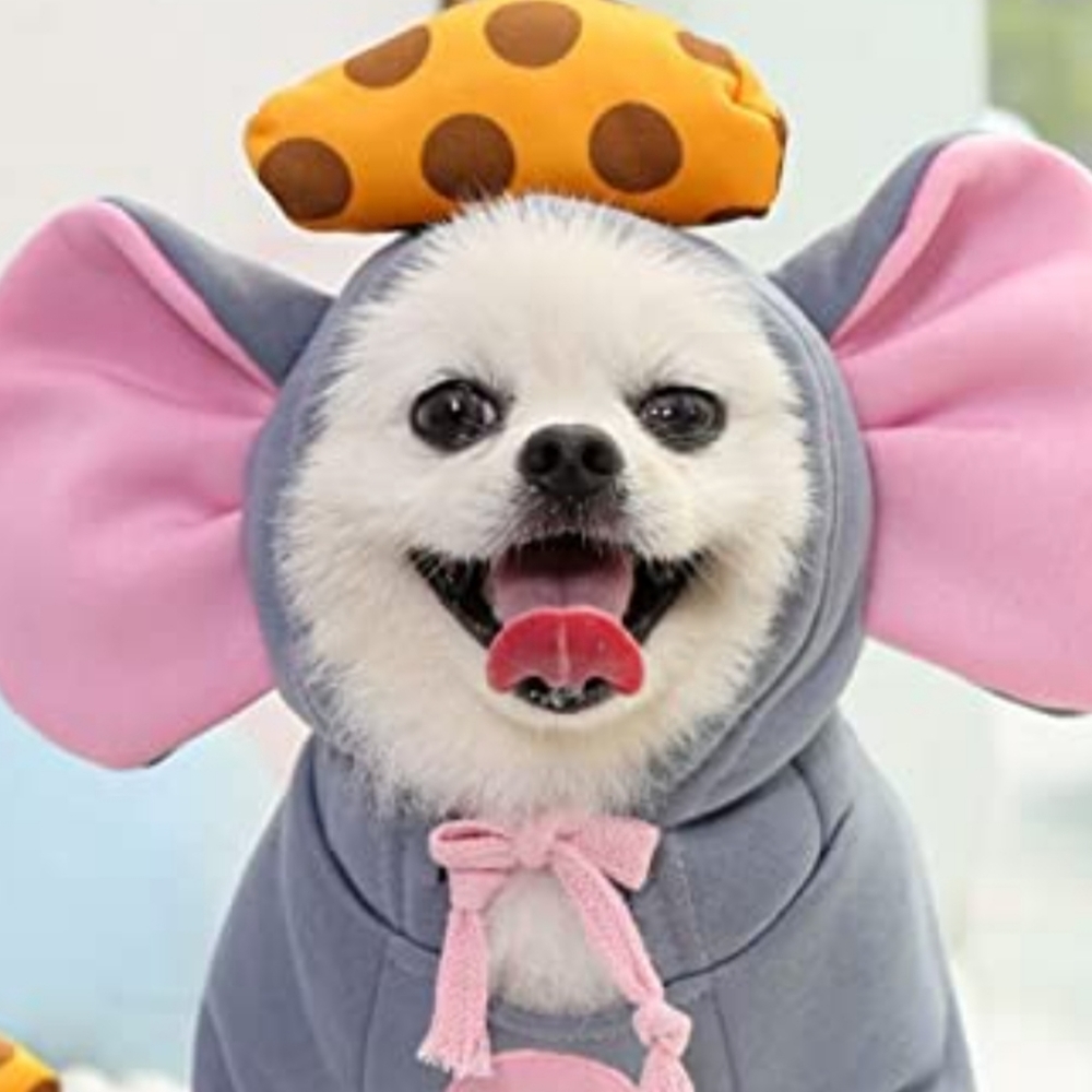 Pet sweatshirt hoodie